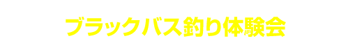 無料 エロ 動画​