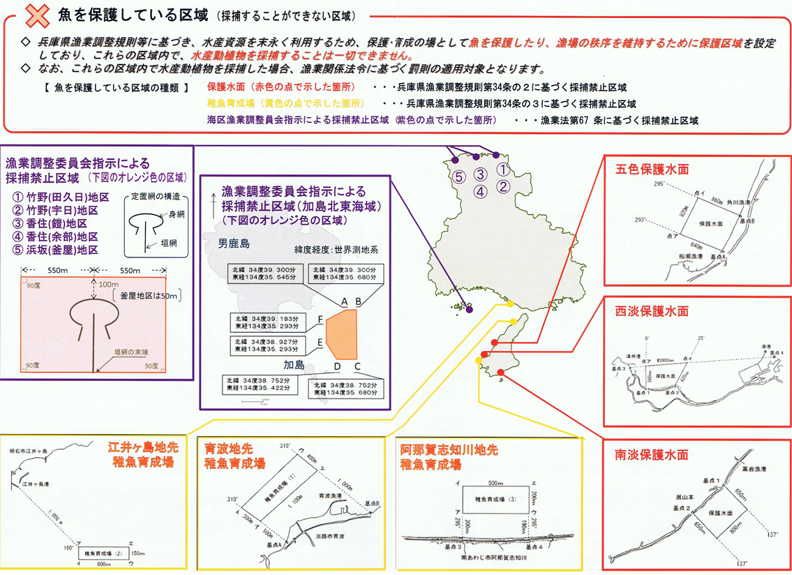 無料 エロ 動画​