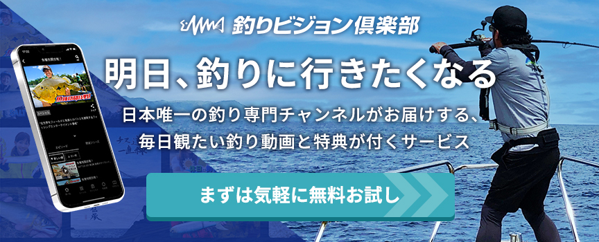 無料 エロ 動画​