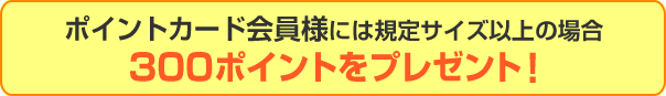 無料 エロ 動画​